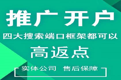案例解析：SEM托管代运营团队风采